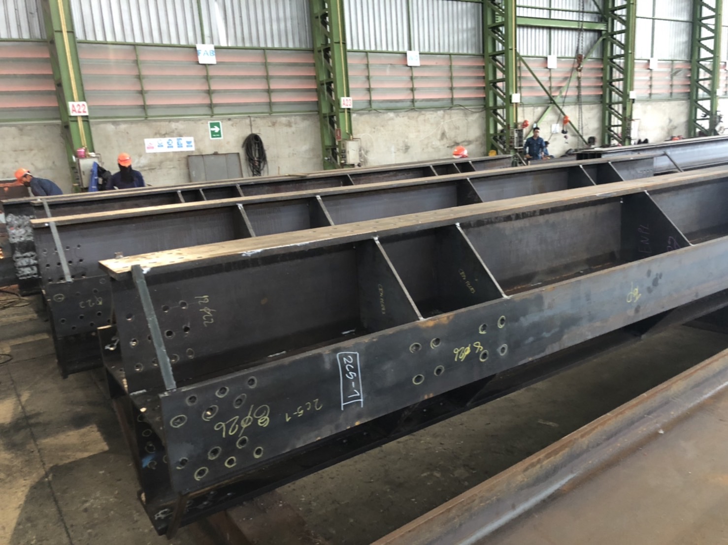 โครงสร้างอาคารผลิตอาหารสัตว์