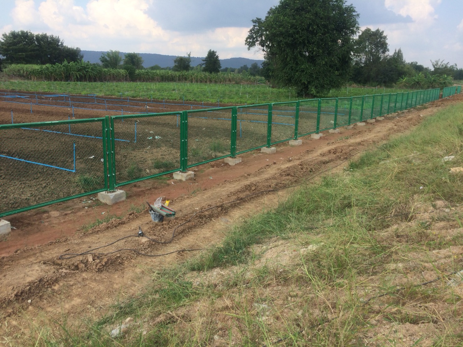 รั้วตาข่ายลวดถักทางหลวงพิเศษระหว่างเมืองบางปะอิน - นครราชสีมา