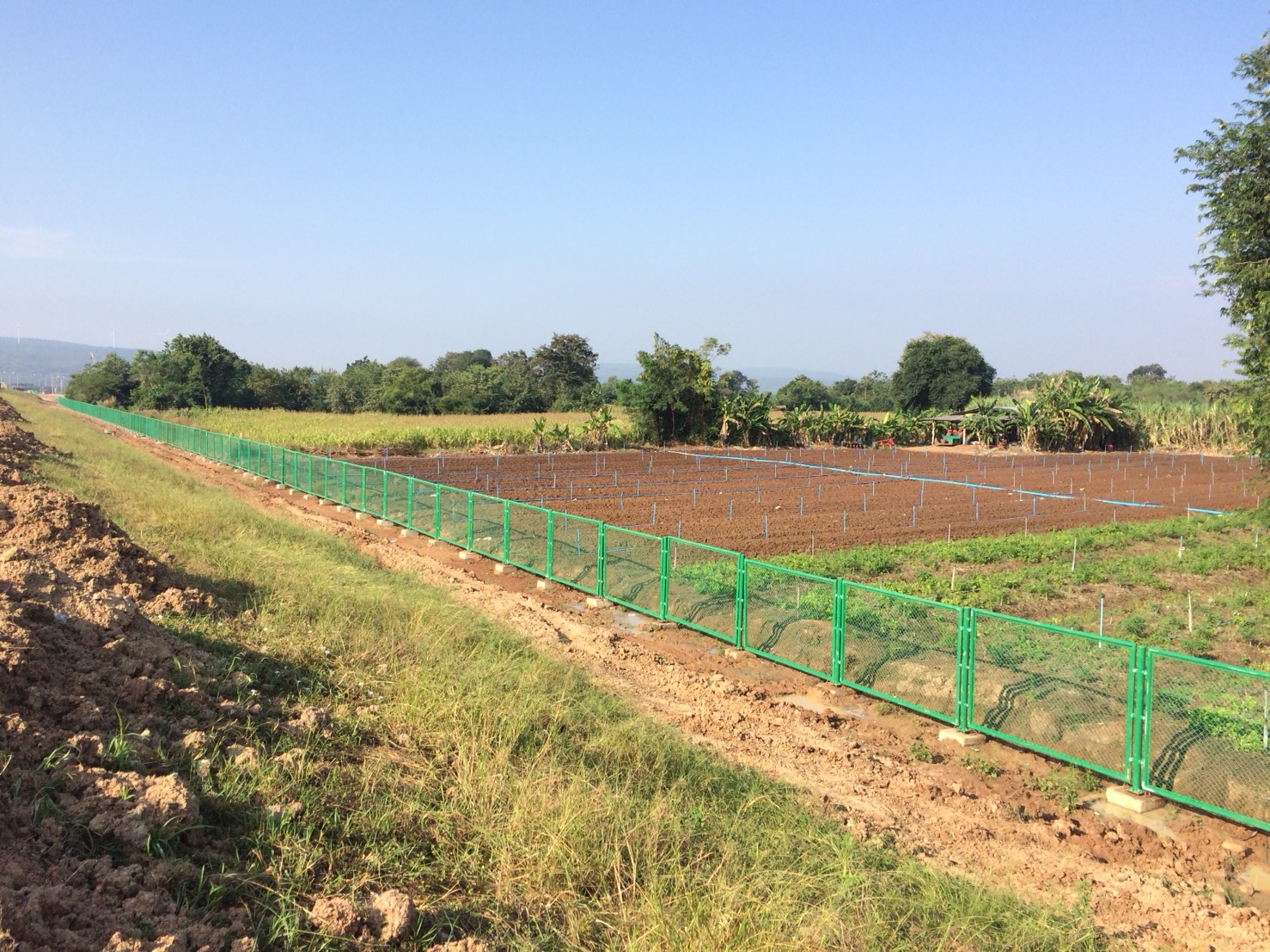 รั้วตาข่ายลวดถักทางหลวงพิเศษระหว่างเมืองบางปะอิน - นครราชสีมา